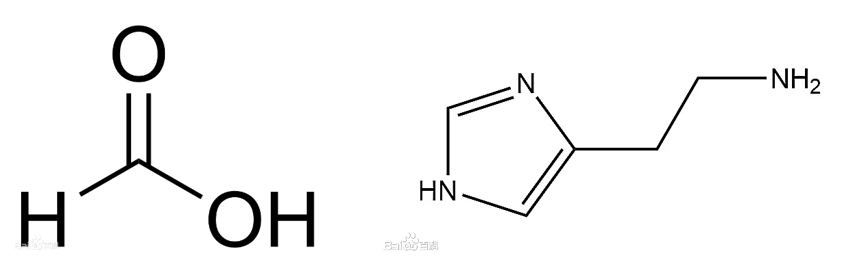 可恶，为什么蚊子总咬你,图片,甲酸,组氨酸,缓激肽酶,辛烯醇,水,环境,化学,生物,电解质,第5张