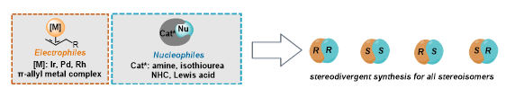 中科大龚流柱Nat. Commun.：手性氮杂环卡宾和铜配合物协同催化的立体发散性不对称炔丙基化反应,图片,材料,催化剂,手性,第1张