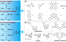 Matthias Beller 最新 Angew. Chem. ：还原 CO2 为 C2+ 化合物的分子催化剂！