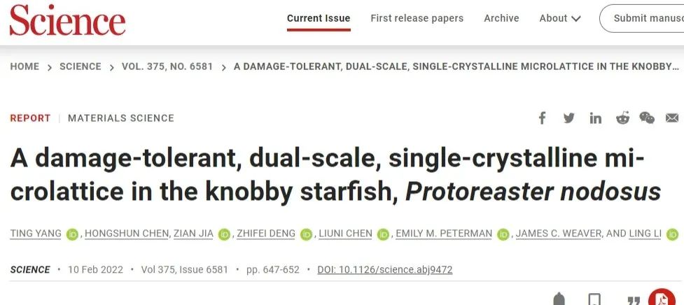 Science: 首次发现！华人学者在海星中发现一种新型耐损伤结构！,图片,材料,陶瓷,多节海星,生物矿化骨骼,纳米,第1张