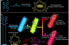 最新JACS: 荧光TPE大环供给光捕获系统用于自定义颜色的圆偏振发光