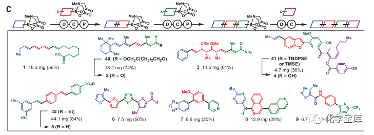化学领域的圣杯！时隔近7年，合成自动化再次取得重大突破！,图片,有机化学,分子砌块,制药,材料,催化剂,水,元素,手性,第4张