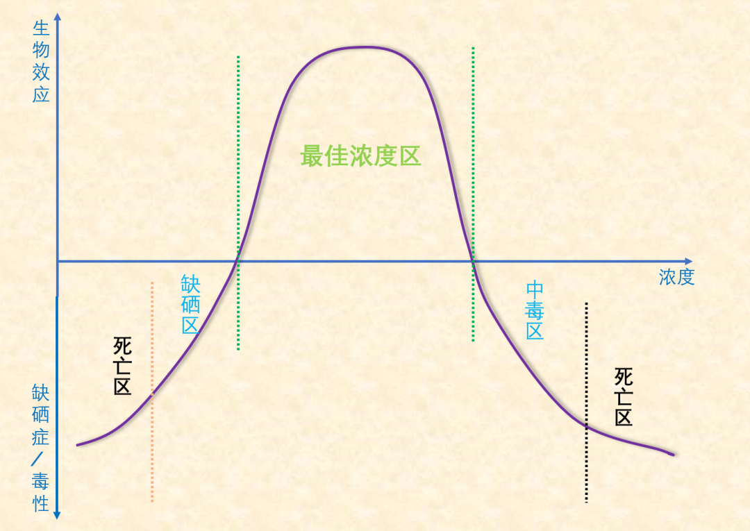 生命之“息”——微量元素硒的生物效应,图片,硒,元素,抗氧化,提高免疫力,富硒食品,第3张