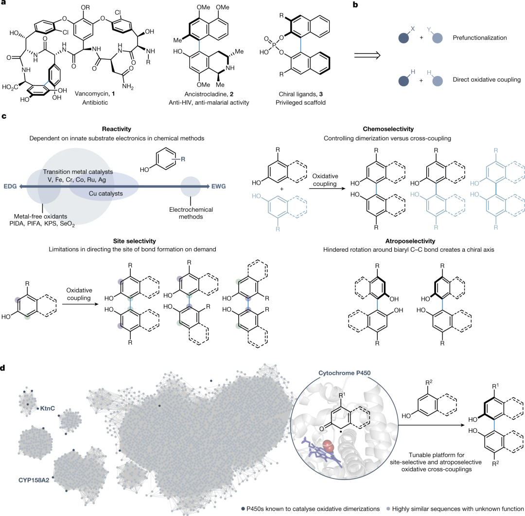  Nature: 继Science后，细胞色素P450酶催化研究再登Nature封面！,图片,材料,催化剂,水,金属,化学,手性,生物,第3张