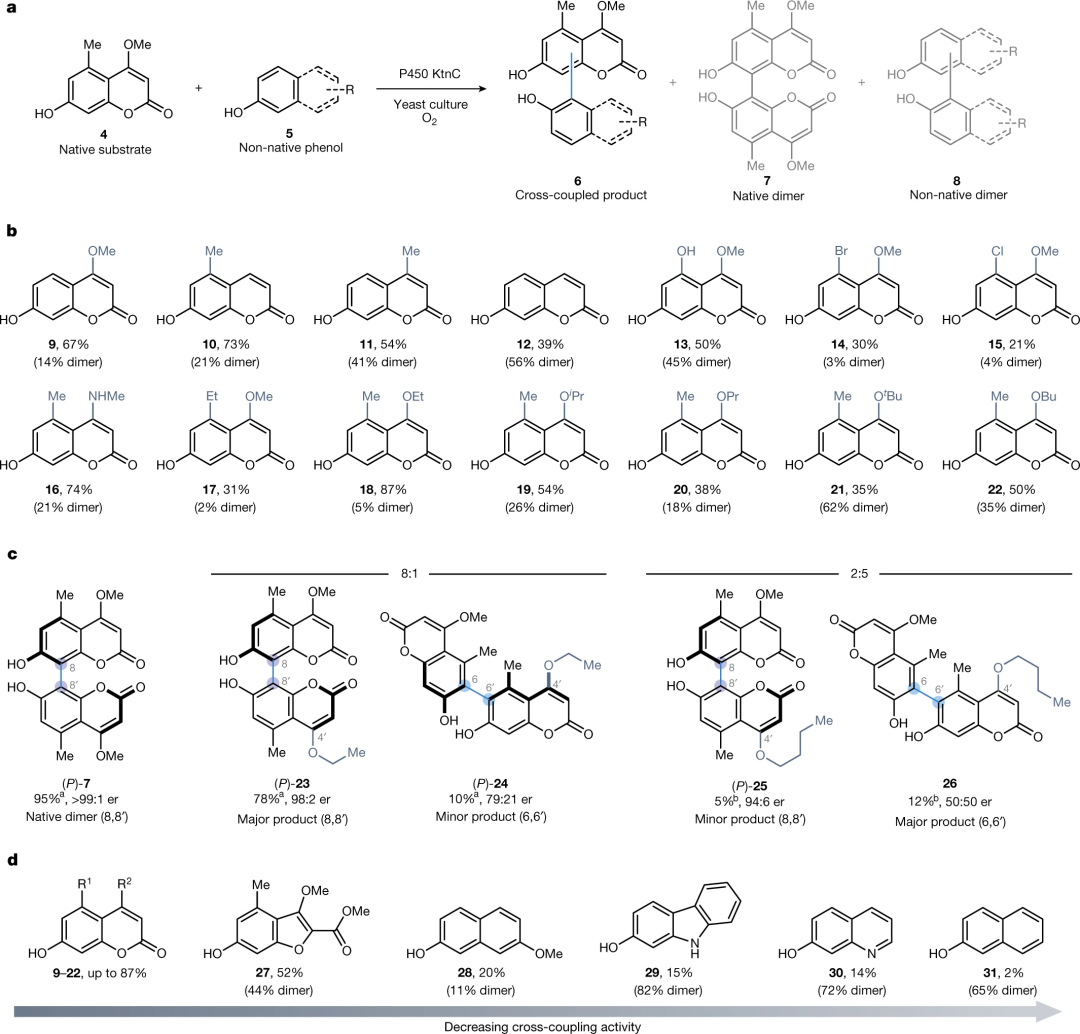  Nature: 继Science后，细胞色素P450酶催化研究再登Nature封面！,图片,材料,催化剂,水,金属,化学,手性,生物,第4张