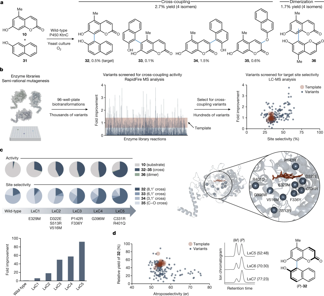  Nature: 继Science后，细胞色素P450酶催化研究再登Nature封面！,图片,材料,催化剂,水,金属,化学,手性,生物,第5张