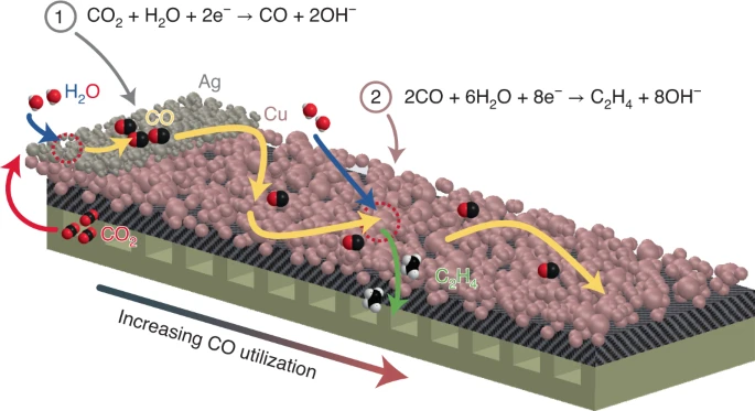 CO2还原最新Nat. Catal.：分段串联电极的原位 CO 管理，合成多碳产物！,图片,材料,催化剂,第2张