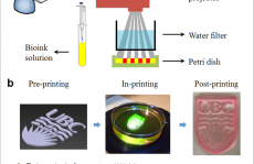 不同方式3D生物打印真的那么重要吗？