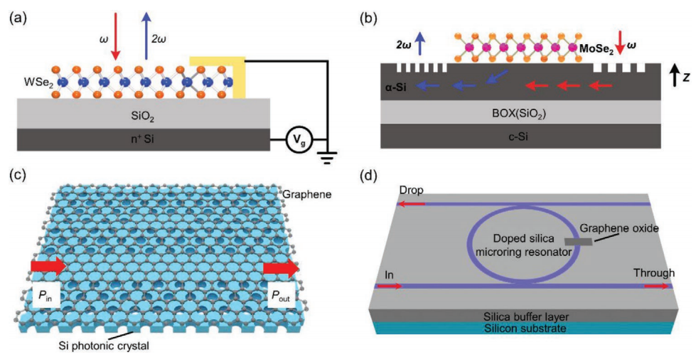 长春光机所黎大兵：用于光电集成的二维材料的研究前景,图片,材料,光电探测器,石墨烯,半导体,芯片,第6张