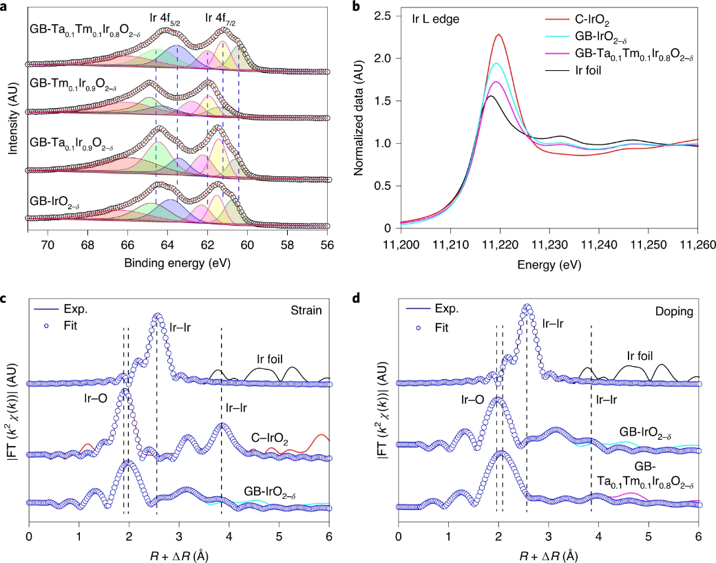 浙大张兴旺团队酸性OER最新Nature nanotechnology：小应变，大作用！,图片,材料,催化剂,纳米,贵金属,质子交换膜燃料电池,第3张