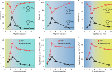 路军岭团队Nature catalysis：催化活性和选择性全都要！