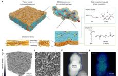 Nature! 韩国先进科学技术研究院联手佐治亚理工，基于聚合物电解质在锂电中的应用