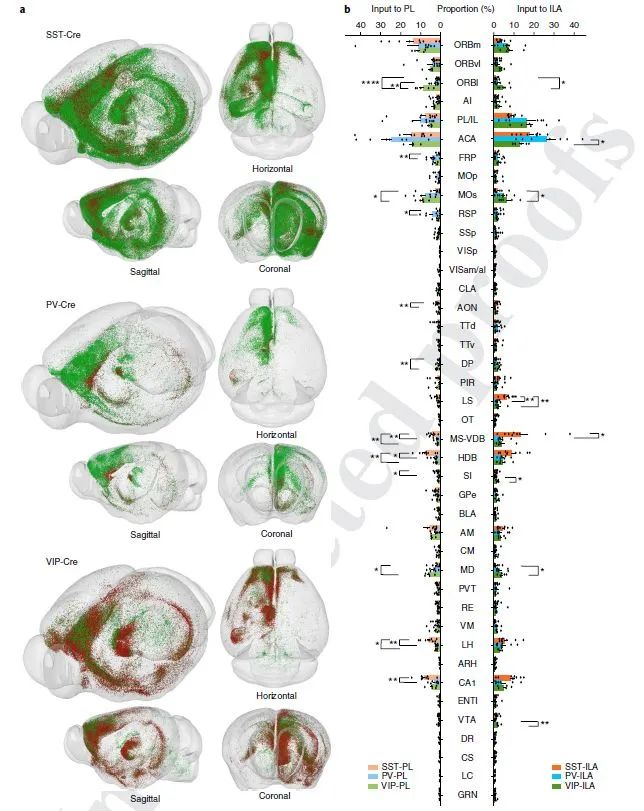  中国脑计划刚启动就被《Science》盯上，相关仪器技术的突破走在了前面！,图片,脑科学,中国脑计划,蒲慕明院士,国际灵长类动物大脑研究中心,十四五计划,脑控武器,动物实验,第6张