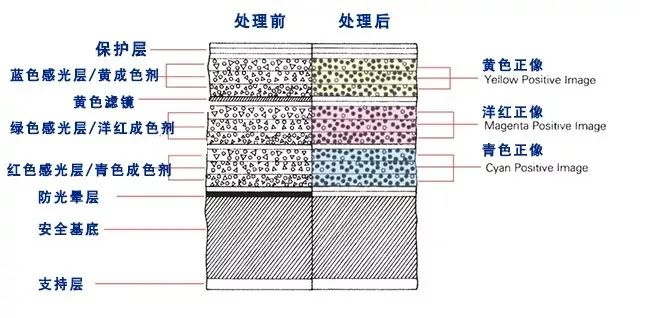 咔！女生眼中的宝藏相机“拍立得”是如何工作的？,图片,胶片,瞬时成像,即时相机,拍立得,显色剂,第3张