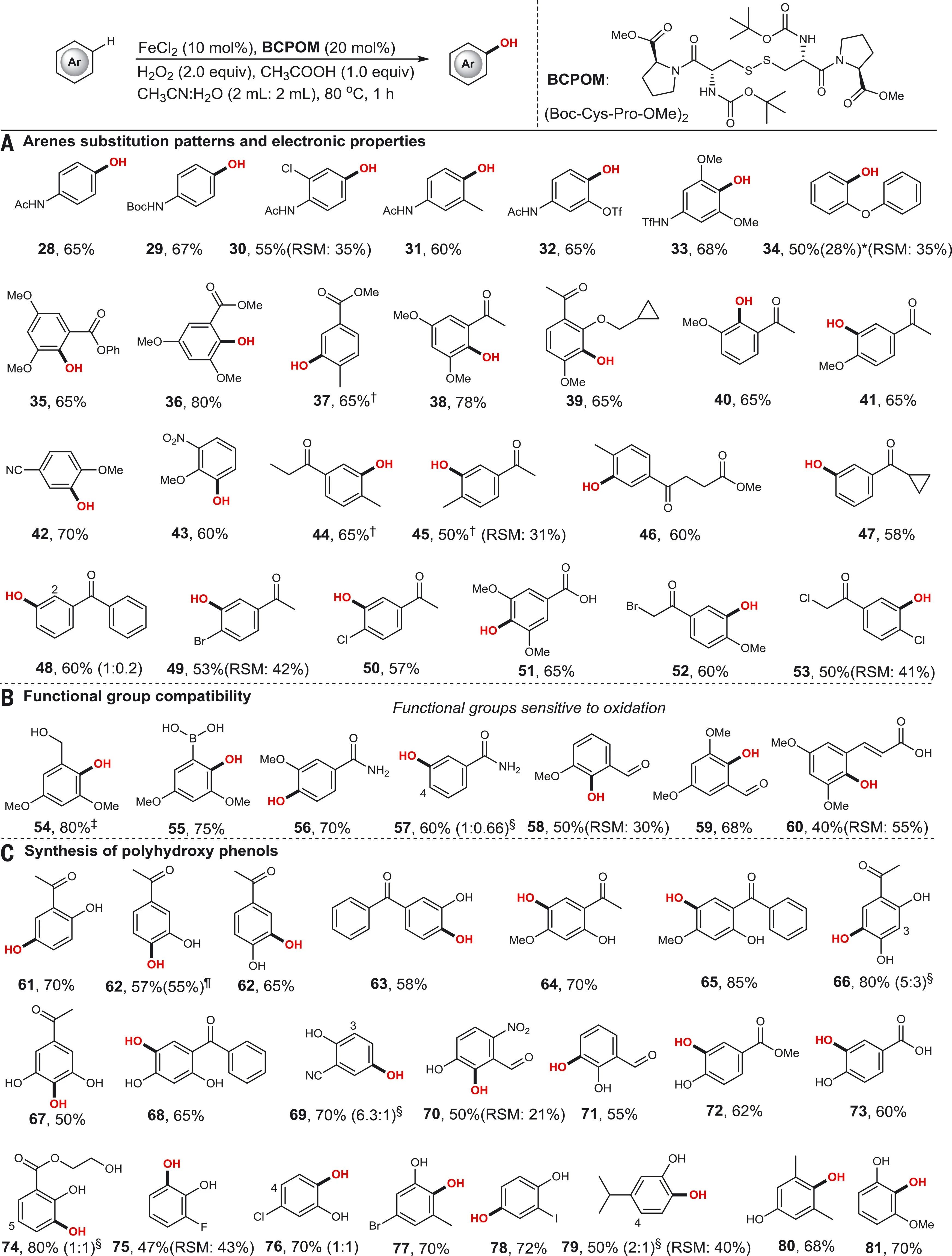 这篇Science聚焦铁催化芳碳-氢的羟基化反应,图片,生物催化剂,芳烃,酶促氧化,多酚,材料,催化剂,金属,元素,生物,第3张