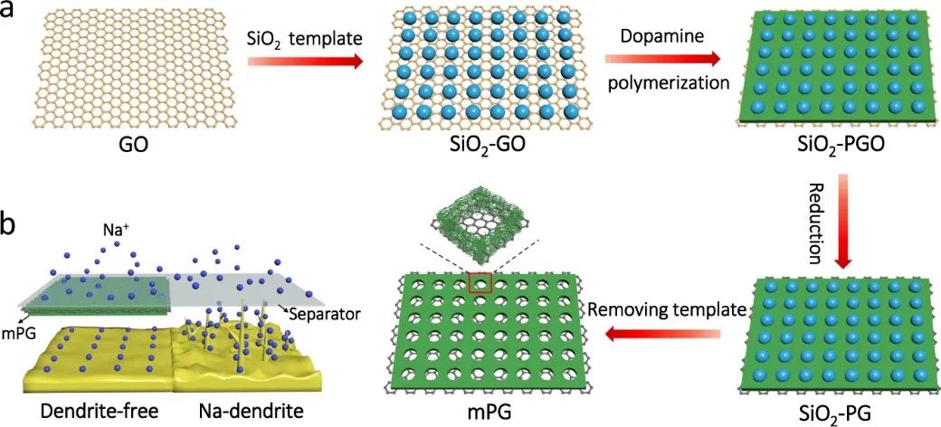 吴忠帅团队最新Nature Communications：新型聚丙烯隔膜实现稳定的钠金属循环！,图片,石墨烯,纳米,钠金属电池,电动汽车,自动驾驶,介孔材料,第2张