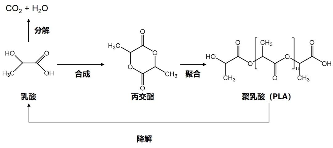 聚乳酸做成的可降解餐具和包装是否安全？,图片,聚乳酸,可降解塑料吸管,滑石粉,限塑令,可降解材料,第1张