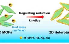 JACS: 调控还原动力学，实现超小贵金属纳米粒子的定向生长