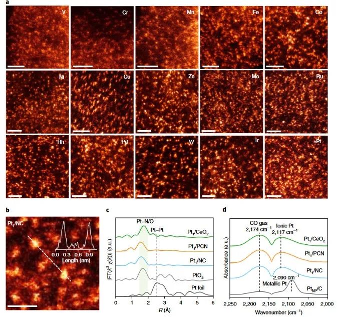 Nature Nanotechnology：23wt%超高密度单原子，竟可实现自动化千克级生产！,图片,原子,能源催化,碳基材料,金属合成,可持续发展,第2张