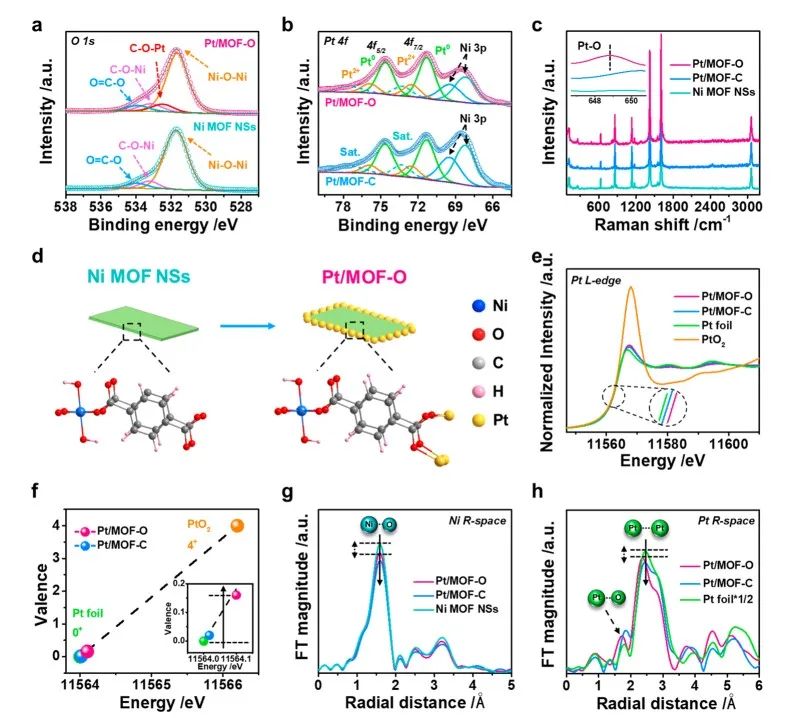 JACS: 调控还原动力学，实现超小贵金属纳米粒子的定向生长,图片,还原动力学,纳米粒子,金属离子,催化剂,异质结,第4张