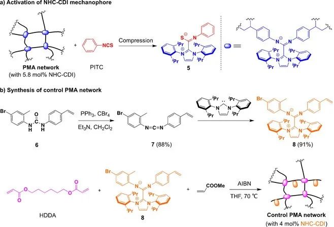 Angew. Chem.：新型柔性激活力敏单元的开发,图片,力敏单元,机械力,柔性激活材料,PMA网络,压缩力,第4张