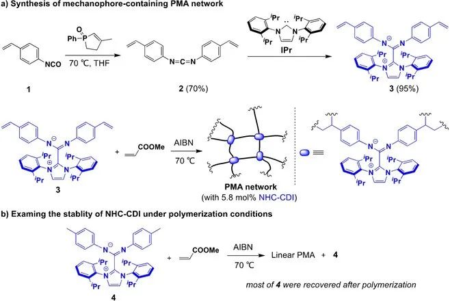 Angew. Chem.：新型柔性激活力敏单元的开发,图片,力敏单元,机械力,柔性激活材料,PMA网络,压缩力,第3张