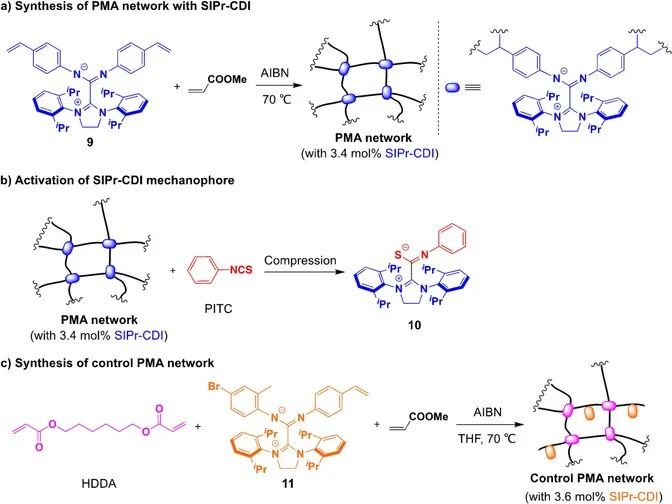 Angew. Chem.：新型柔性激活力敏单元的开发,图片,力敏单元,机械力,柔性激活材料,PMA网络,压缩力,第7张