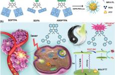 新加坡国立大学陈小元AM：NIR-Ⅱ荧光分子助力单线态氧“余辉”治疗