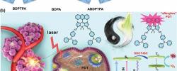 新加坡国立大学陈小元AM：NIR-Ⅱ荧光分子助力单线态氧“余辉”治疗