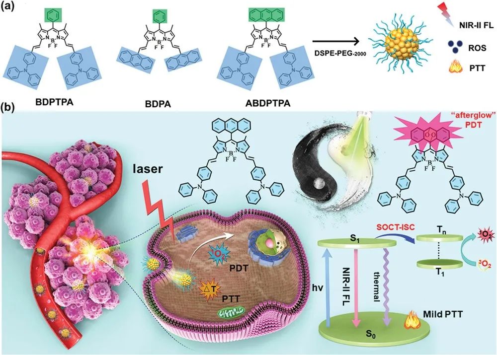 新加坡国立大学陈小元AM：NIR-Ⅱ荧光分子助力单线态氧“余辉”治疗,图片,光动力疗法,癌症治疗,“余辉”效应,蒽,BODIPY,ISC效应,第1张