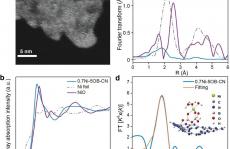 付宏刚团队最新Advanced Materials：六氧配位 Ni 位点用于光催化CO2还原！