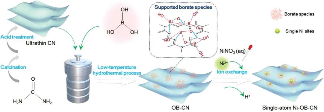 付宏刚团队最新Advanced Materials：六氧配位 Ni 位点用于光催化CO2还原！,图片,单原子光催化剂,硼酸介导,捕获光电子,载体相互作用,电荷分离,第1张