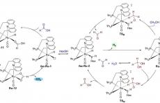 最新JACS! 硫醇小身材，实现大能量！——无碱高效水相重整甲醇制氢