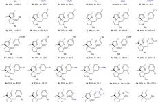 厦门大学叶龙武课题组Nature Chemistry：基于炔烃的手性有机酸催化研究进展