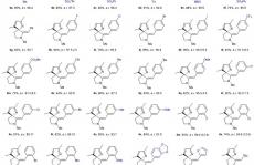 厦门大学叶龙武课题组Nature Chemistry：基于炔烃的手性有机酸催化研究进展