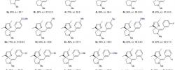 厦门大学叶龙武课题组Nature Chemistry：基于炔烃的手性有机酸催化研究进展