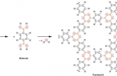 原子、分子和共价有机框架