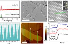 JACS:新型密排六方结构的钴纳米片提高CO2转化为乙醛的选择性