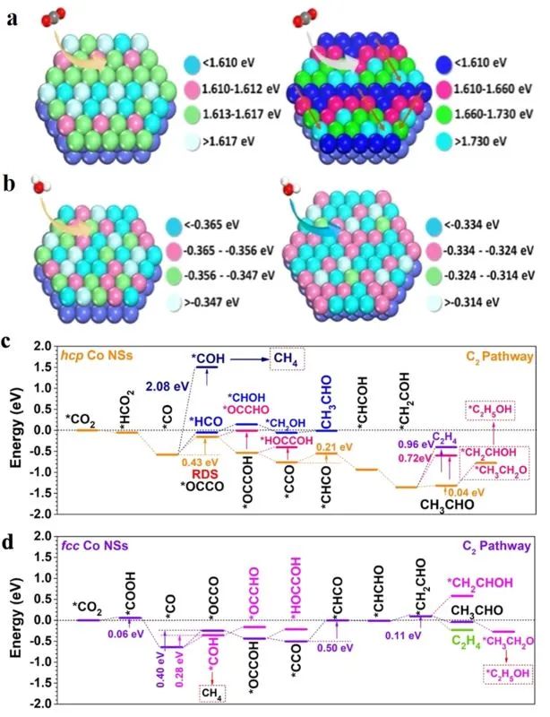 JACS:新型密排六方结构的钴纳米片提高CO2转化为乙醛的选择性,图片,电化学CO2RR,绿色可持续化学及能源,二氧化碳(CO2)还原反应,电化学活性,电催化性能,第5张