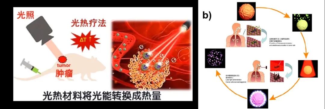 肿瘤治疗的新“利器”—超分子卟啉光催化剂,图片,癌症治疗,纳米药物,超分子卟啉,光生空穴,光催化材料,第2张