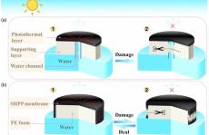 自修复亲水多孔光热膜材料助力太阳能水蒸发技术