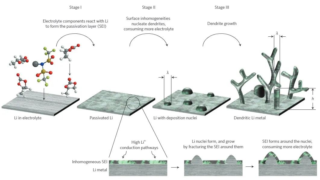 Nature Review Materials从腐蚀科学谈锂金属负极保护,图片,锂金属负极保护,锂金属电池,腐蚀科学,马赛克结构,电解质,第1张