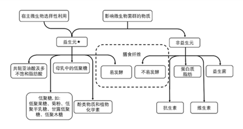 益生元-健康饮食的必备,图片,“无糖”饮料,益生元,喜茶,低聚糖,肠道健康,第3张