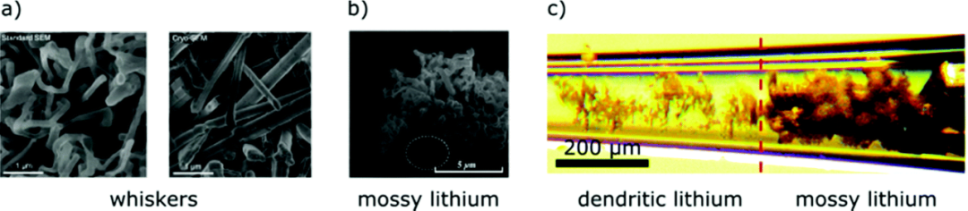 EES：一文带你看尽锂金属电池设计策略,图片,锂金属电池,能量密度,苔藓状锂,电极框架,电解质配方,第2张