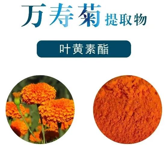 蓝莓叶黄素酯软糖——儿童的护眼神器？,图片,元素,食品,环境,食品添加剂,金属,蓝莓叶黄素酯软糖,叶黄素,第5张