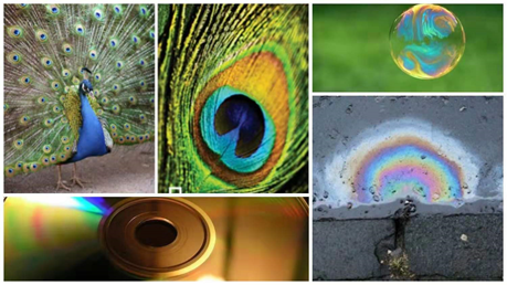 生态仿生着色--结构色纳米纤维膜,图片,材料,纳米,环境,金属,半导体,结构色,第3张