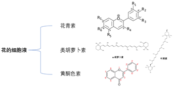 花色花香花满天,图片,材料,环境,元素,水,色素,第2张