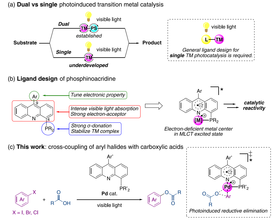 JACS+ACS catalysis！优等生钯催化剂,图片,催化剂,纳米,环境,金属,水,钯催化剂,第2张