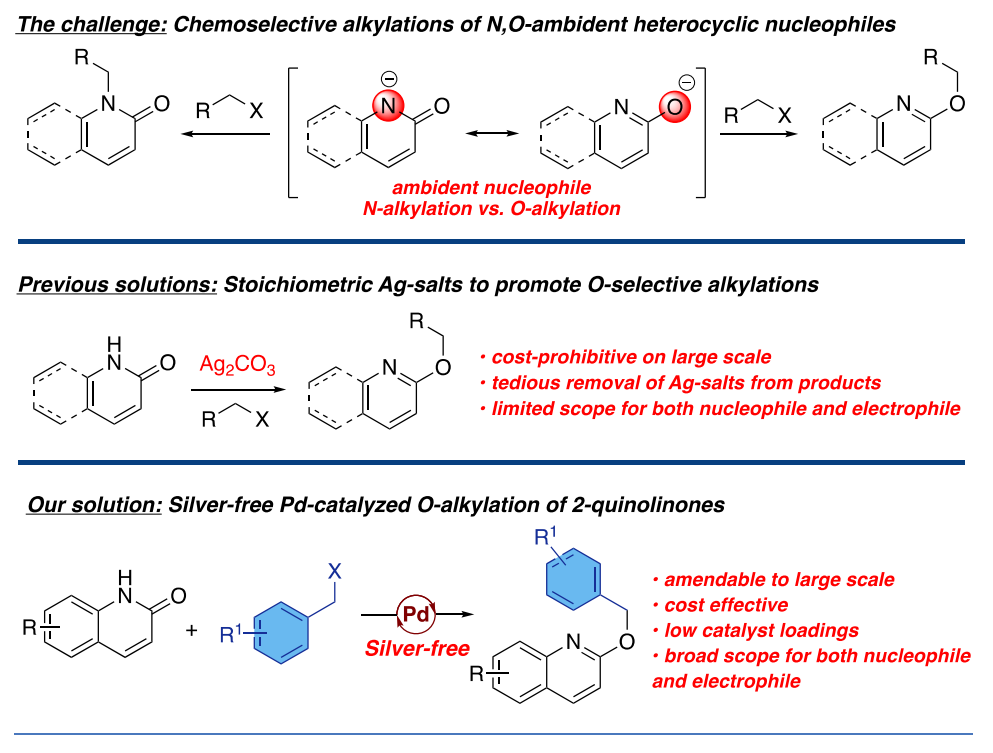 JACS+ACS catalysis！优等生钯催化剂,图片,催化剂,纳米,环境,金属,水,钯催化剂,第5张