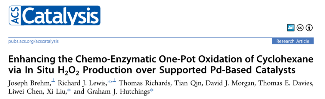 JACS+ACS catalysis！优等生钯催化剂,图片,催化剂,纳米,环境,金属,水,钯催化剂,第6张